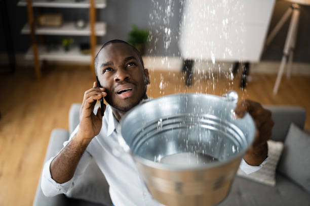  Ardmore, AL Water damage restoration Pros