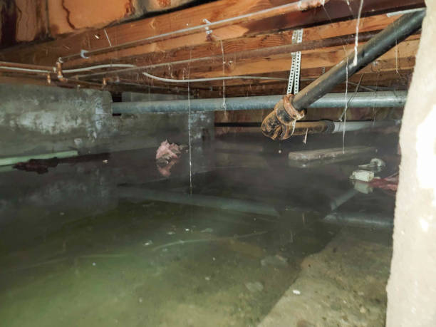 Best Fire Damage Restoration  in Ardmore, AL