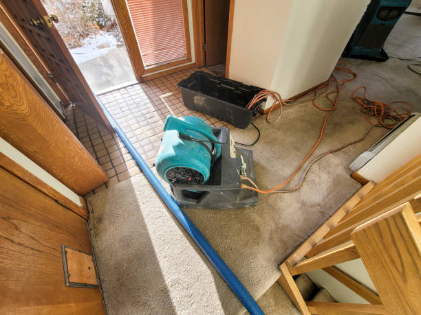 Best 24/7 water damage repair  in Ardmore, AL