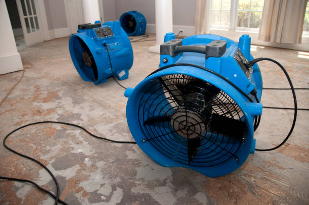 Best Professional water damage repair  in Ardmore, AL