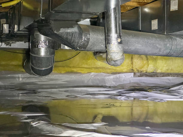 Best Local water damage restoration  in Ardmore, AL