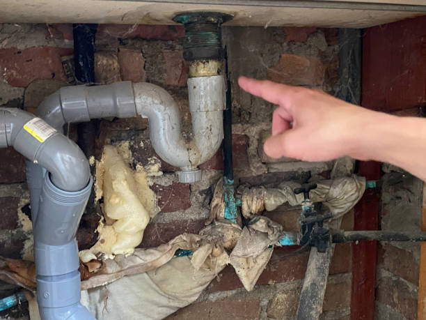 Best Flooded house restoration  in Ardmore, AL