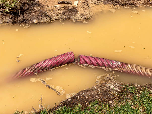Ardmore, AL Water damage restoration Company