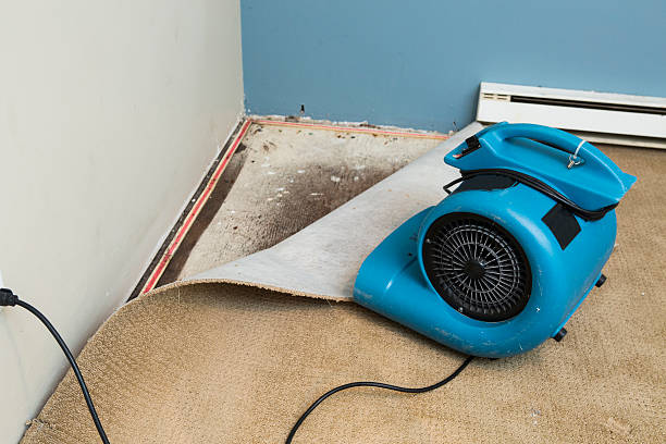 Best 24-hour water damage restoration  in Ardmore, AL